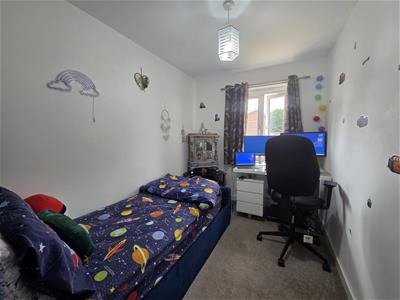 Picture 10